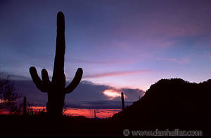 saguaro-sunset-0005-big.jpg